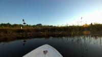 pond-data project thumbnail