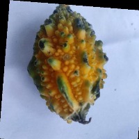Dataset Image