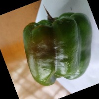 Dataset Image