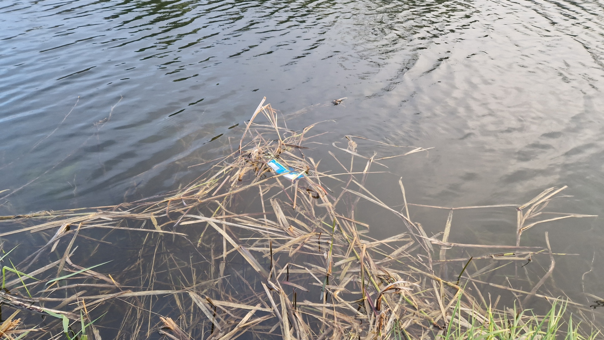 Irish Canals Object Detection Dataset by Uni project