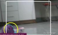 Find balls project thumbnail