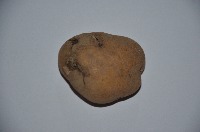 POTATO CLASSIFY project thumbnail