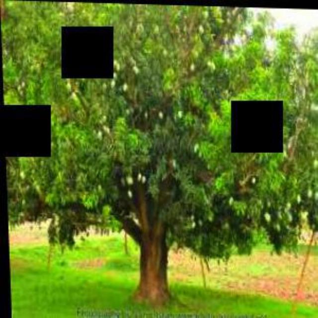 Urben Tree Detection Object Detection Model by treeDetection
