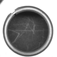 bush project thumbnail