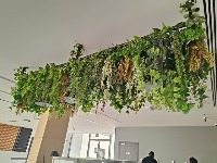 Greenery project thumbnail