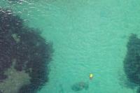 Marine Litter project thumbnail