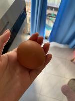 Egg Drug Bottle cap project thumbnail