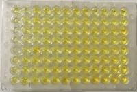 ELISA plate annotation 2 project thumbnail