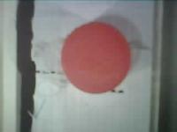 case_study_project_2 project thumbnail