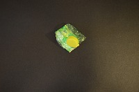 Dataset Image
