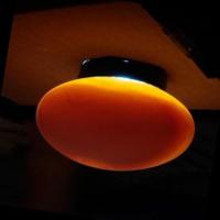 Egg project thumbnail