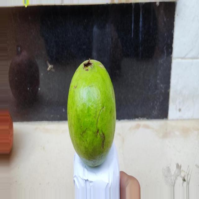 yolo v8 fruits detection Object Detection Dataset by waleed anis