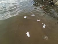 marine debris project thumbnail