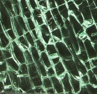 merged_sliced_and_full project thumbnail