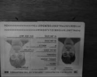 id_detect project thumbnail