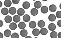 195-test01(1~2) project thumbnail