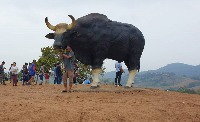 Gaur project thumbnail