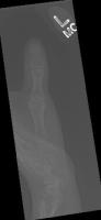 bone_default project thumbnail