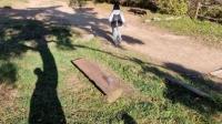 trash project thumbnail