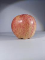 fresh_rotten apple Object Detection Model by Talents Workspace 2