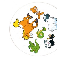 Dataset Image