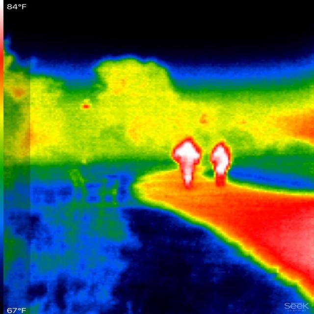 thermalhuman Object Detection Dataset and PreTrained Model by RAGHAV B