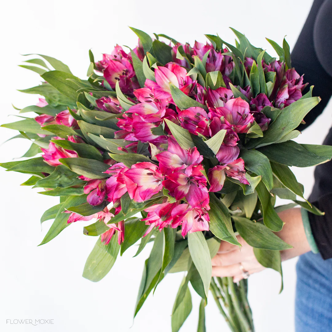 flowers40 Instance Segmentation Model by anotation