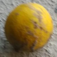 Lemon Ripeness Diseases new project thumbnail