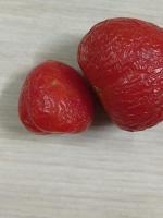 tomato3 project thumbnail