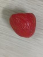 tomato1 project thumbnail