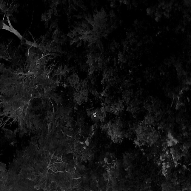 Computer Vision Lab Roboflow Universe