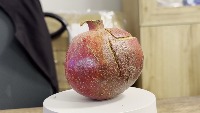 Pomegranate project thumbnail