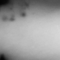 Dust Object Detection Model by Dust