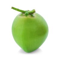 coconut group dataset project thumbnail