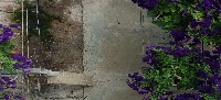 task_floral_flowers project thumbnail