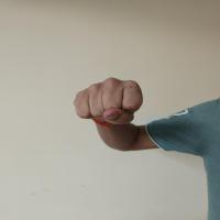 Gesture Detection project thumbnail