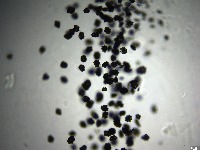 DyeParticles project thumbnail