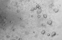 Agitating tank bubble project thumbnail