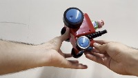 Dataset Image