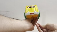 Dataset Image