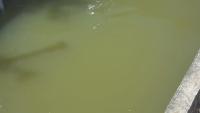floating matters project thumbnail