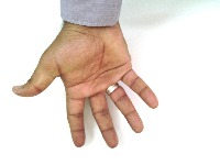 palmistry project thumbnail