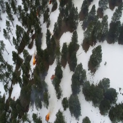 Fire detect Object Detection Dataset and Pre-Trained Model by Harbin ...