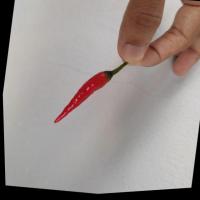 CHILI RIPENESS DETECTION 1 project thumbnail
