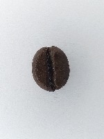 Coffee bean project thumbnail