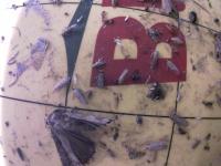 Bio Pests IA project thumbnail