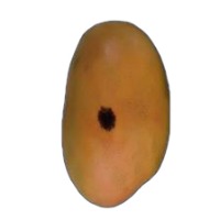 mangga project thumbnail
