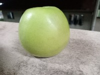 Dataset Image