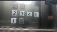 last dataset project thumbnail