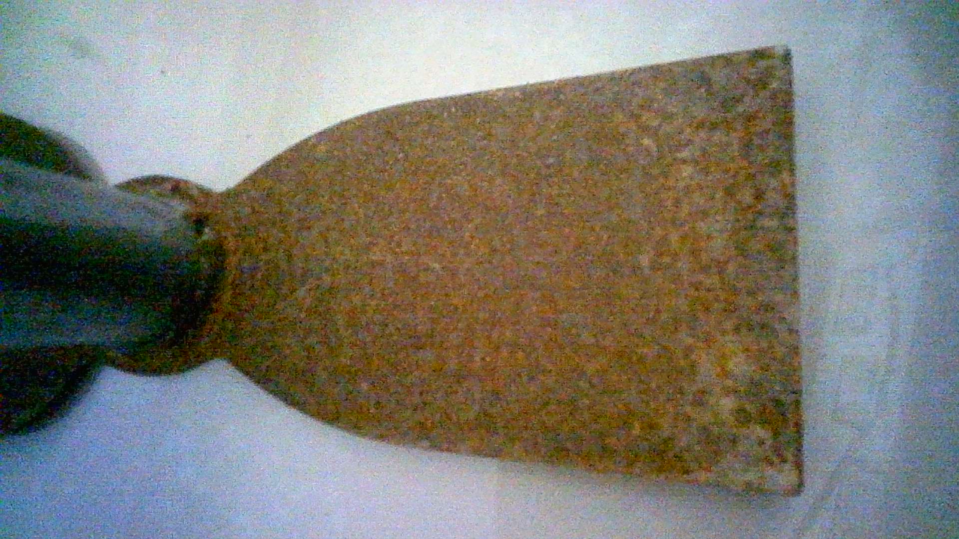 Rust Classification Classification Model (v2, rust classifier -2-) by ...